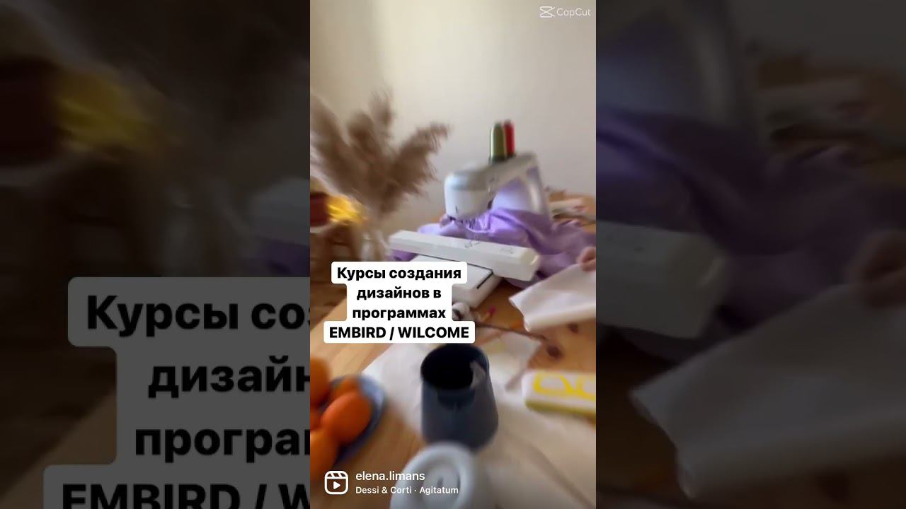 курсы по вышивке Embird | Wilcom смотреть онлайн