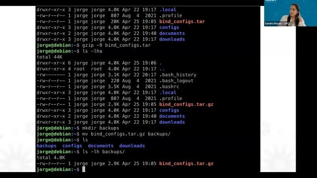 Introducción a la Consola de Linux смотреть онлайн