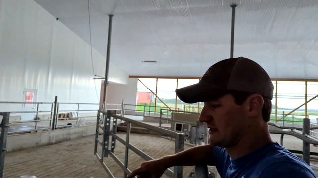 WE HAVE LIGHTS! + A LOT of Other NEW Equipment! | Building our Cow Palace - Ep66 смотреть онлайн