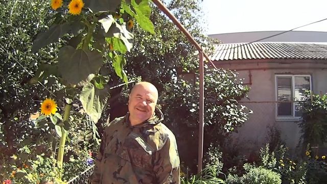 Мировой рекорд.Уникальный гигантский подсолнух [2 часть] смотреть онлайн