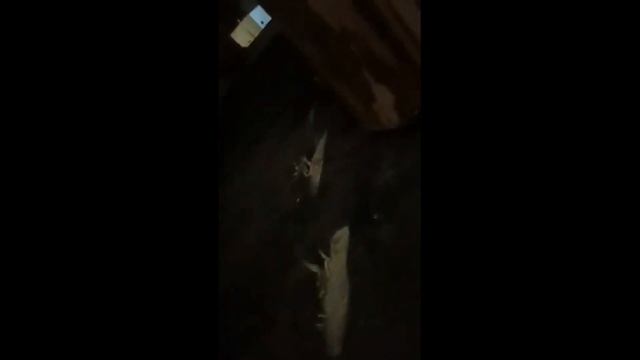 Печка, Растопил Печь- Разнес Пол Дома, Нельзя Так Делать! Смех Сквозь Слезы! Посмотрите-Не Повторит смотреть онлайн