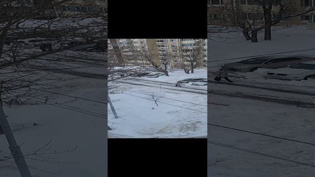 зима Сахалин