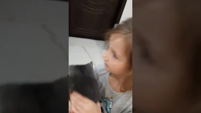 София играет со своим котиком!!!! смотреть онлайн