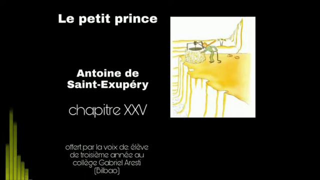 LE PETIT PRINCE Chapitre XXV смотреть онлайн