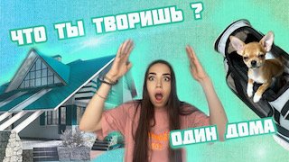 Что творит мой щенок один??/СКРЫТАЯ КАМЕРА/ ТАЙНАЯ ЖИЗНЬ ДОМАШНИХ ЖИВОТНЫХ/Слежу за собакой!