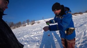 багрение леща 2021