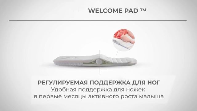Многофункциональная система Inglesina Welcome Pad смотреть онлайн