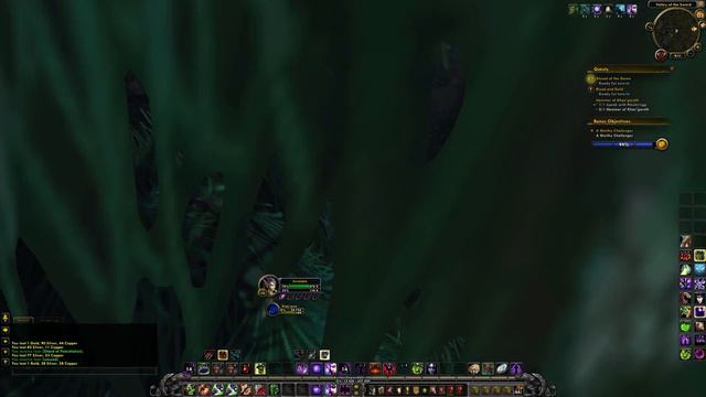 ALPHA - Build 20796: Stormheim (Horde) [2/6] Affliction Warlock PoV смотреть онлайн