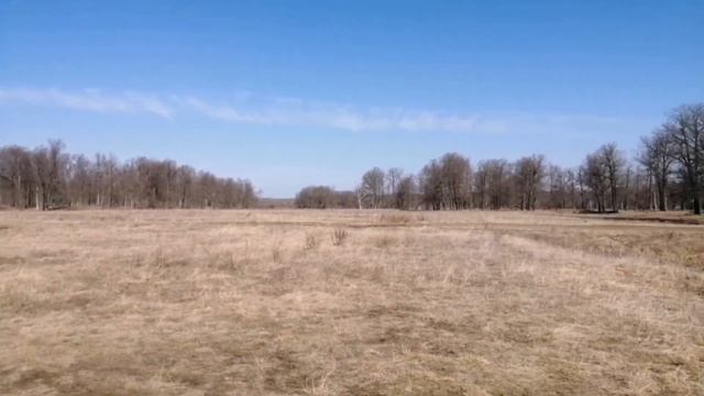 Учебник по Творческой Силе