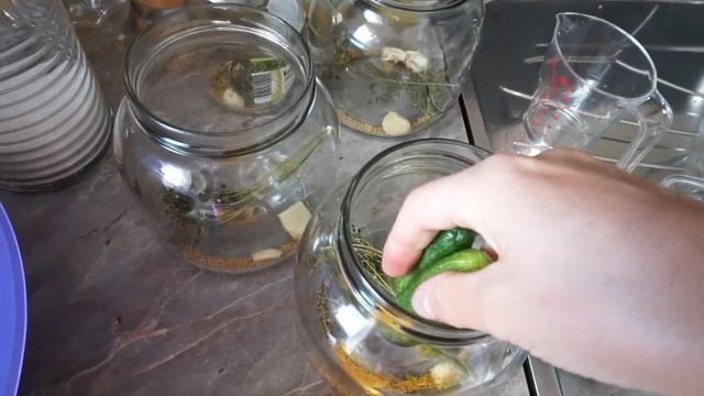 Языки и Культуры