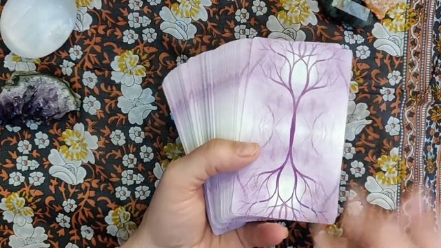 Oracle Deck Collection Part 1, Decks for Spring смотреть онлайн