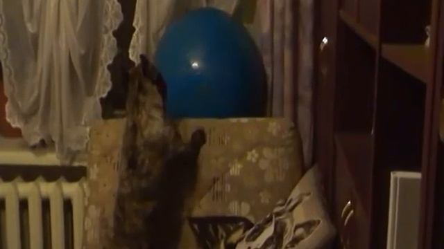 мяч булька и окно смотреть онлайн