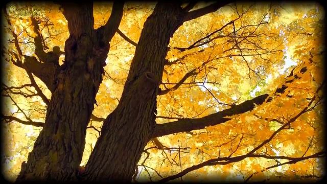 ♫ ОСЕННИЕ ЗАРИСОВКИ !!! МУЗЫКА ДЛЯ ДУШИ !!!.mp4 смотреть онлайн