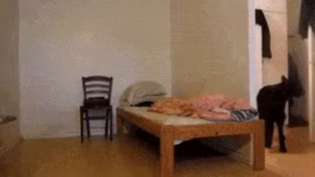 Когда хозяин уходит из дома смотреть онлайн