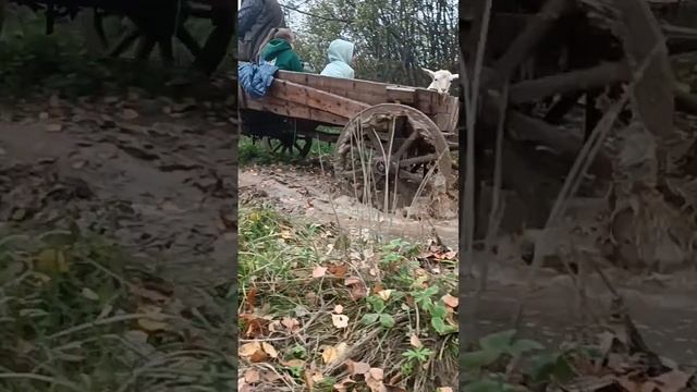 Поход на старинной телеге) смотреть онлайн