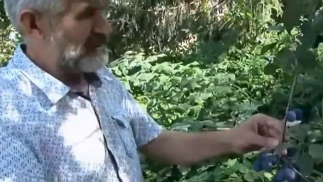 Пикник - Готовим блюда на природе смотреть онлайн