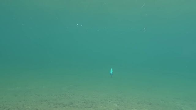 Воблер Strike Pro Flash Minnow 85 (EG-063F) смотреть онлайн