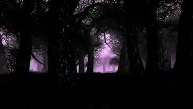 The Lord of the Rings Online: Siege of Mirkwood expansion - Trailer смотреть онлайн