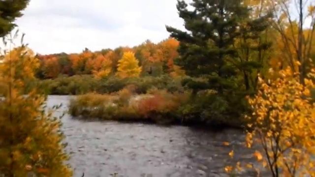 В осеннем парке 09 2014 смотреть онлайн