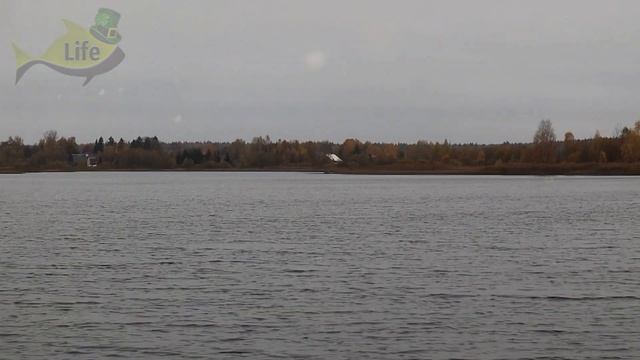 Как поймать крупную щуку осенью? Где стоит крупная щука осенью? Щука в октябре ноябре. смотреть онлайн