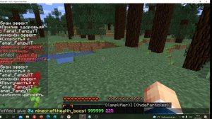 КАК ПОЛУЧИТЬ ЛЮБОЙ ЭФФЕКТ ДО 255 УРОВНЯ В МАЙНКРАФТ? КАК СТАТЬ БЕССМЕРТНЫМ В МАЙНКРАФТ? КОМАНДЫ