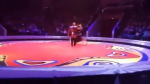 Цирк Филатовых Медведи на велосипеде смотреть медведь на арене цирка