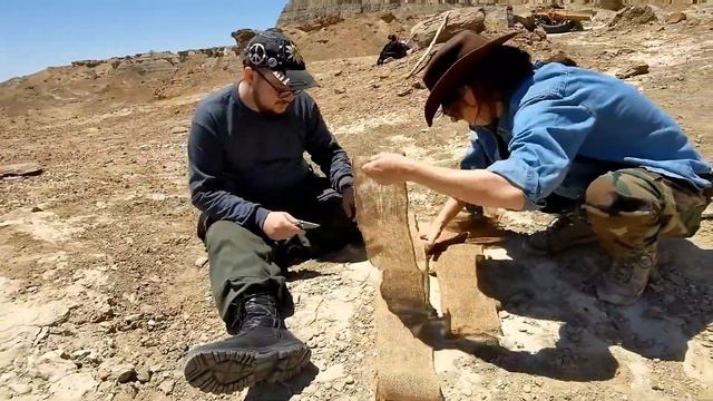 Plaster Jackets with Dr. J. Noviello, E. Dolson, & J. Kudlinski | Menefee Expedition 2022 | May 31 смотреть онлайн