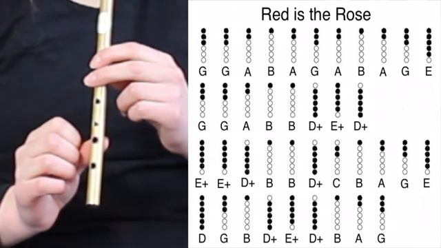 Red is the Rose/Loch Lomond | Tin Whistle Tutorial (With Tabs) смотреть онлайн