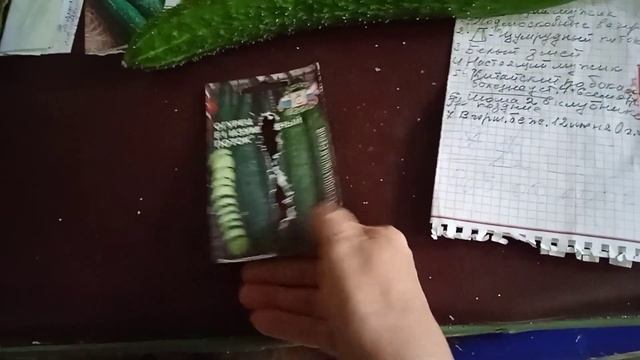 Огурец,, Изумрудный поток