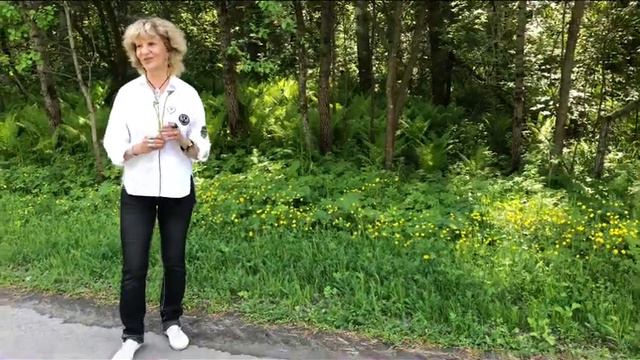 В лесу среди папоротников! смотреть онлайн