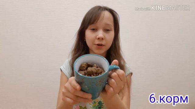 Что нужно купить когда берешь взрослую собаку?Видео - Liza ni