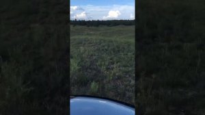 off-road lexus RX 300 16 июня 2021 г. офф-роуд Арчеда