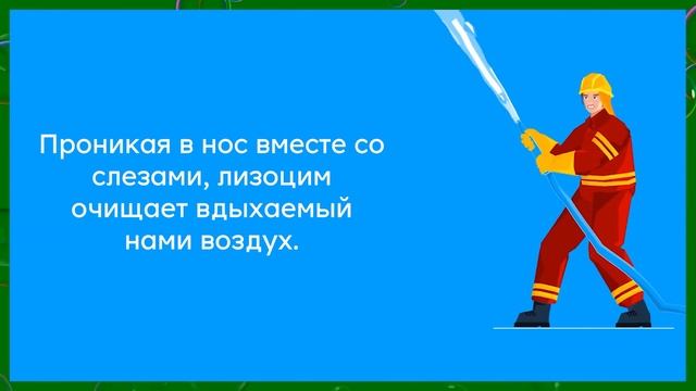 Интересные факты про слёзы смотреть онлайн