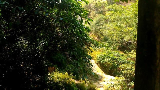 Верхний каскад водопада. Таиланд 2016 смотреть онлайн