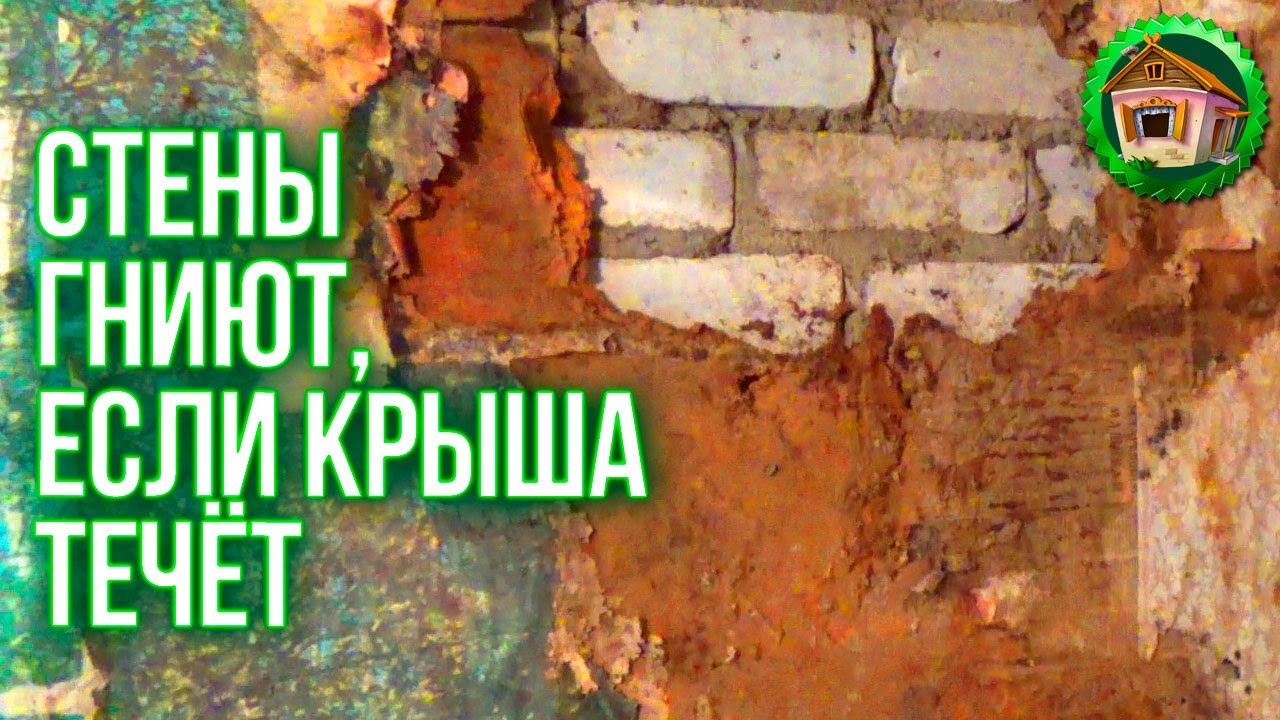 Стены гниют если течет крыша. Выросли Кабачки. Наша Русская Печь. 97 серия смотреть онлайн
