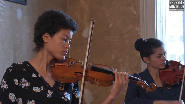 J. Brahms, Clarinet Quintet op. 115, I. Allegro смотреть онлайн