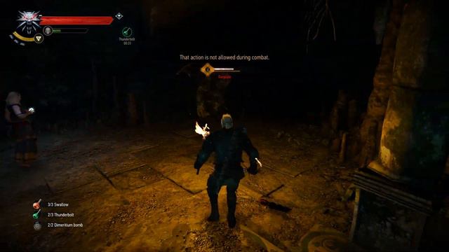 The Witcher 3 - Gargoyle - Death March