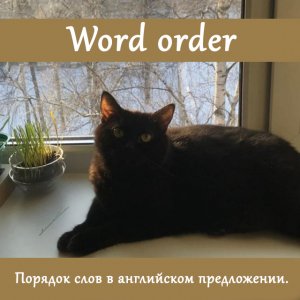 Порядок слов в английском предложении / Word order.
