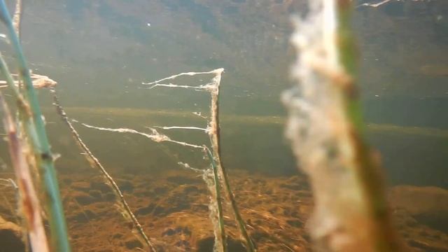 Nicon Coolpix AW130 test смотреть онлайн