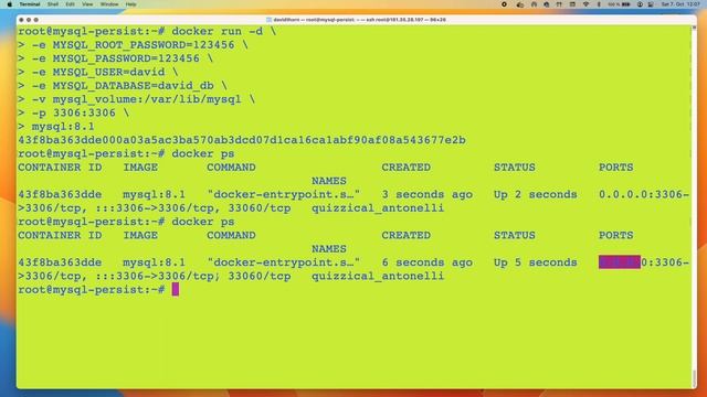 How to Run MySQL in a Docker Container on Ubuntu with Persistent Local Data смотреть онлайн
