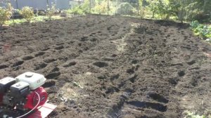 Мотоблок Ока. Вспашка фрезами гусиные лапки.