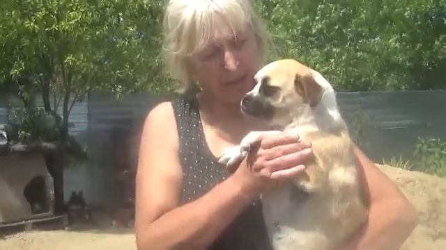 В гостях у "Весёлых хвостиков" смотреть онлайн