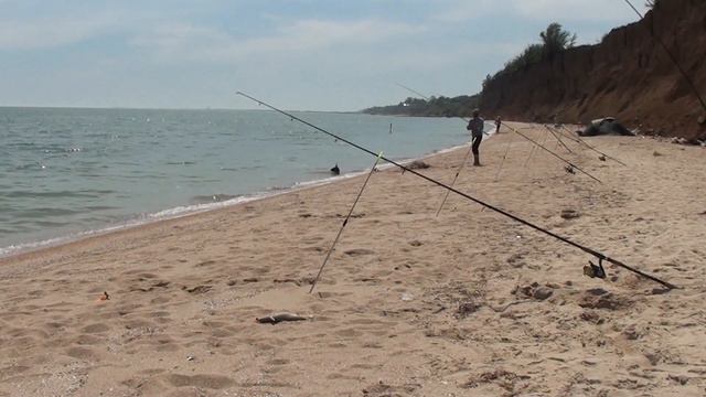 Краща моя риболовля в цьому році по пеленгасу 26 05 2021 смотреть онлайн