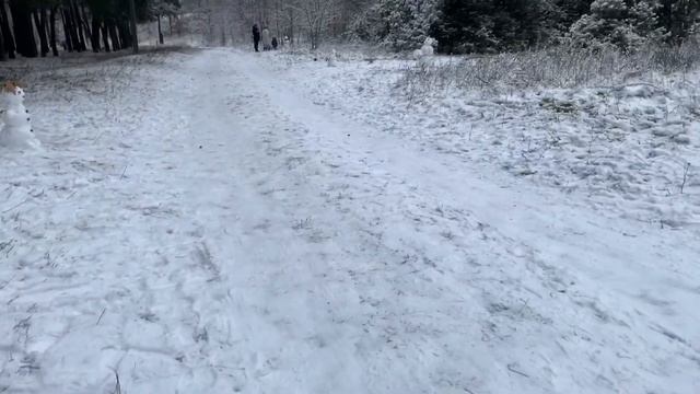 Зимняя сказка - Лепим снеговика, кормим птиц, веселая прогулка по лесу! смотреть онлайн