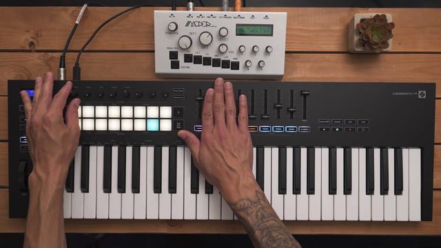 Launchkey [MK3] - MIDI Out // Novation смотреть онлайн