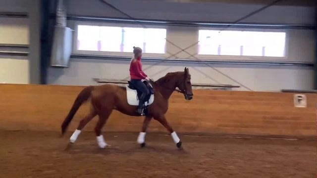 ЛОШАДЬ ТАЩИТ НА ГАЛОПЕ смотреть онлайн