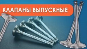 Клапаны выпускные, чем отличаются, где купить?