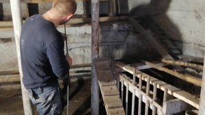 Обработка курятника известью.