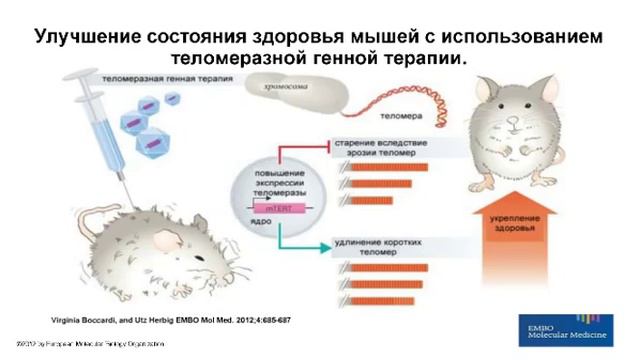 FINITI - Обучение от медицинского консультанта смотреть онлайн
