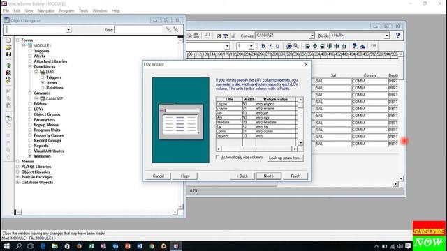 ORACLE 10G FORM смотреть онлайн
